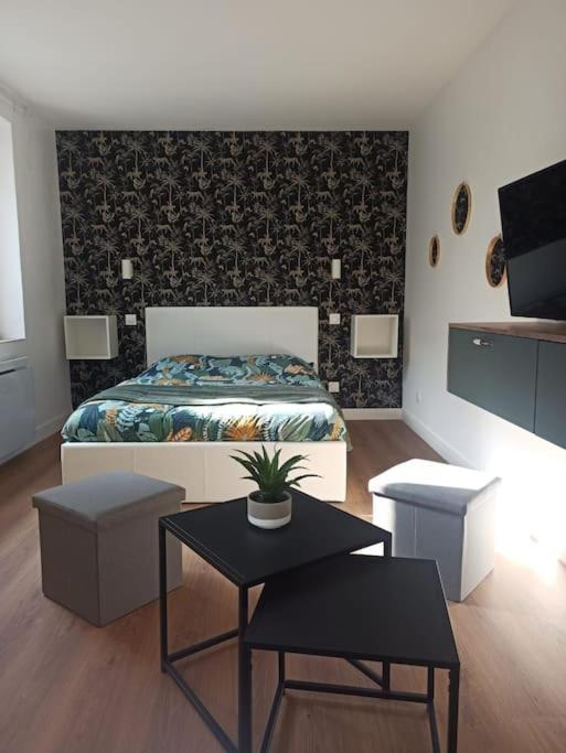 Superbe Appt Avec Cour Et Parking Gratuit A 5Min De La Cite Medievale Carcassonne Exterior photo